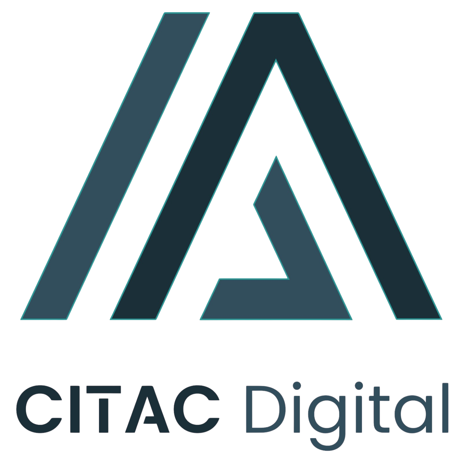 CITAC Logo